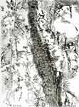Cascade, 15 août 2004, encre de Chine sur papier, 76 x 57 cm
